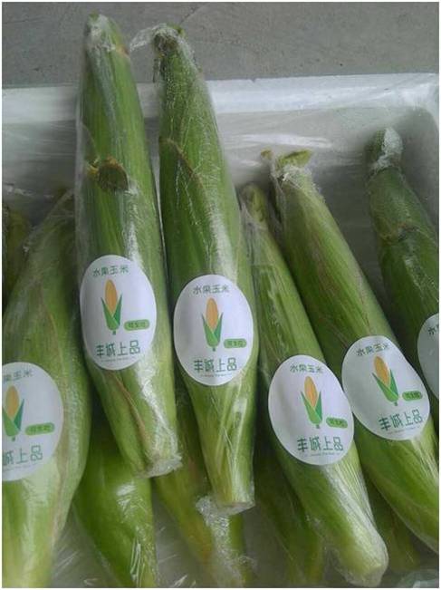 圖片4.jpg