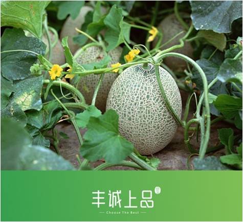 圖片6.jpg